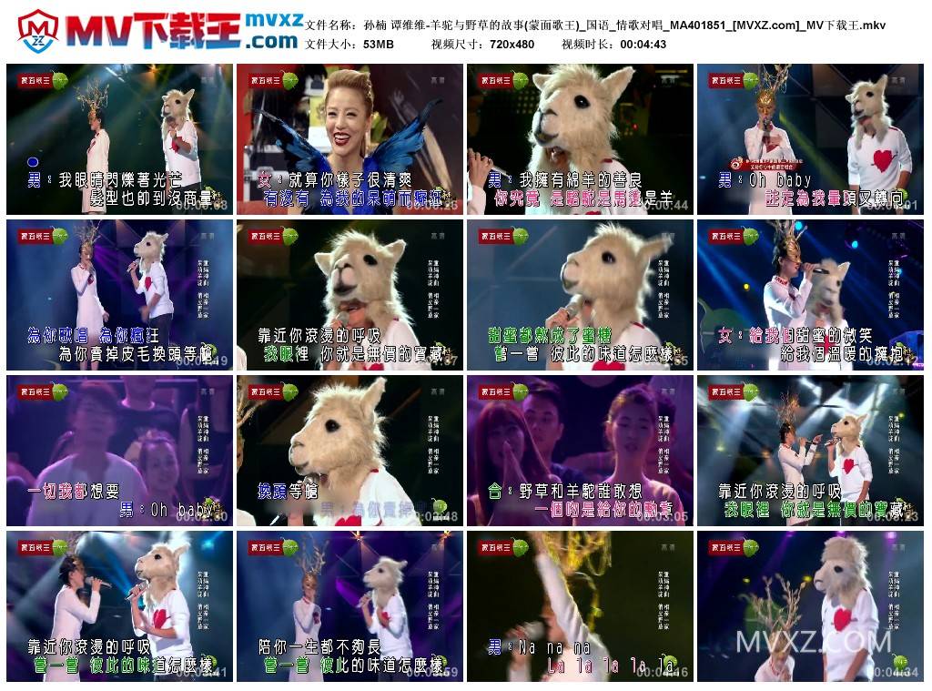 孙楠 谭维维-羊驼与野草的故事(蒙面歌王)_国语_情歌对唱_MA401851